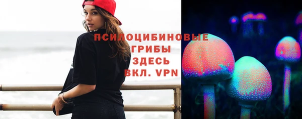 ешки Пролетарск
