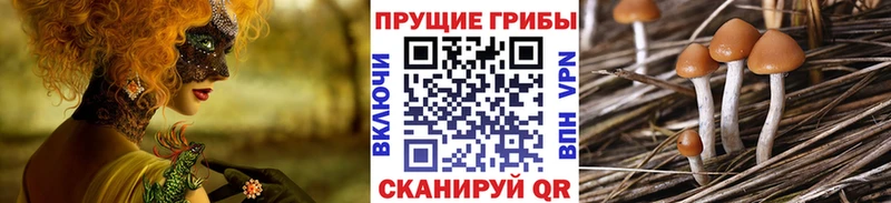 Псилоцибиновые грибы прущие грибы Нижняя Тура